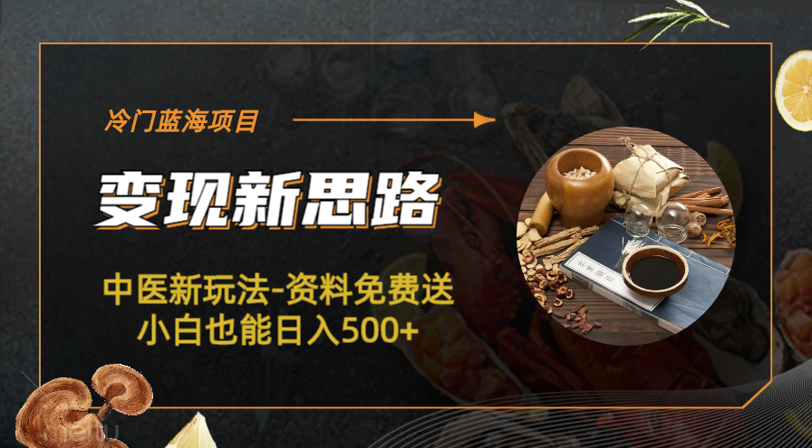 【副业项目6563期】冷门蓝海项目-中医新玩法-资料免费送小白也能日入500+-网创财富岛