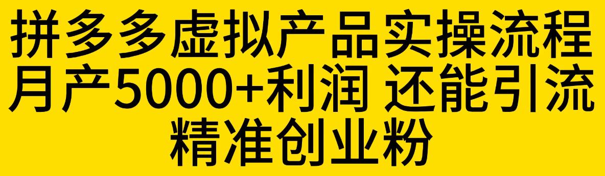 【副业项目6569期】拼多多虚拟产品实操流程，月产5000+利润，还能引流精准创业粉-网创财富岛