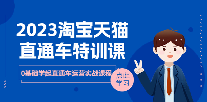【副业项目6489期】2023淘宝·天猫直通车评特训课，0基础学起直通车运营实战课程（8节课时）-网创财富岛