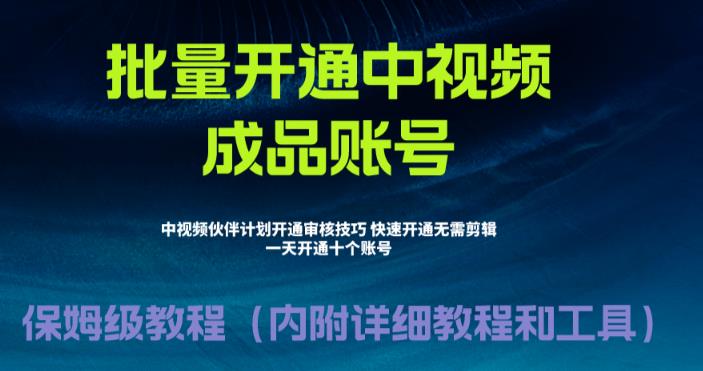 【副业项目6718期】外面收费1980暴力开通中视频计划教程，附 快速通过中视频伙伴计划的办法-网创财富岛