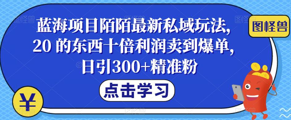 【副业项目6699期】蓝海项目陌陌最新私域玩法，20 的东西十倍利润卖到爆单，日引300+精准粉【揭秘】-网创财富岛