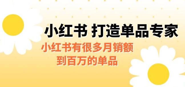 【副业项目6703期】某公众号付费文章《小红书打造单品专家》小红书有很多月销额到百万的单品-网创财富岛