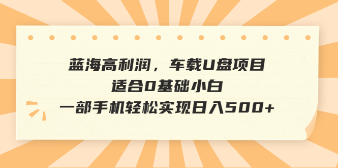 【副业项目6800期】蓝海高利润，车载U盘项目，适合0基础小白，一部手机轻松实现日入500+-网创财富岛