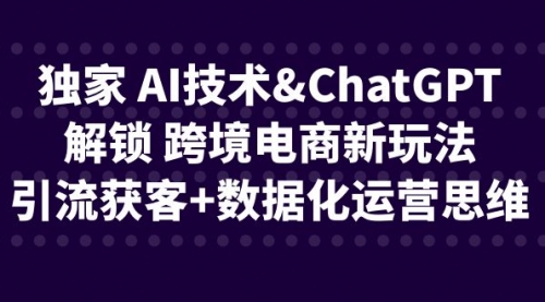 【副业项目6780期】独家 AI技术&ChatGPT解锁 跨境电商新玩法，引流获客+数据化运营思维-网创财富岛