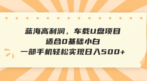 【副业项目6781期】蓝海高利润，车载U盘项目，适合0基础小白，一部手机轻松实现一天500+-网创财富岛