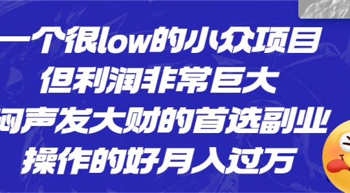 【副业项目6782期】一个很low的小众项目，但利润非常巨大，闷声发大财的首选副业，月入过万-网创财富岛