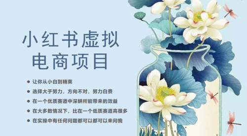 【副业项目6786期】小红书虚拟电商从0到1，让你从小白到精英（20节实操课程）-网创财富岛