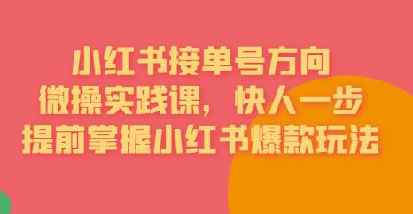 【副业项目6820期】接单号方向·小红书微操实践课，快人一步，提前掌握小红书爆款玩法-网创财富岛