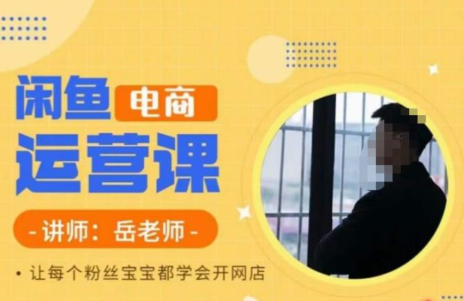 【副业项目6829期】岳老师·闲鱼电商运营课，让每个粉丝宝宝都学会开网店-网创财富岛