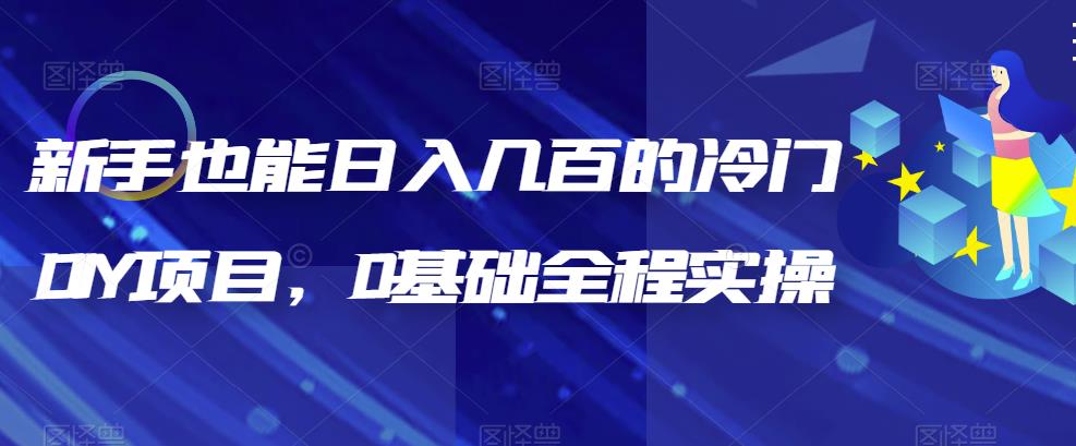 【副业项目6865期】新手也能日入几百的冷门DIY项目，0基础全程实操【揭秘】-网创财富岛