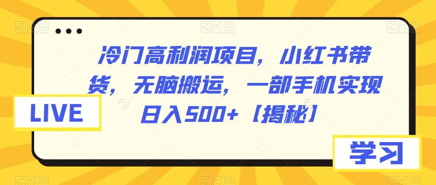 【副业项目6875期】冷门高利润项目，小红书带货，无脑搬运，一部手机实现日入500+【揭秘】-网创财富岛