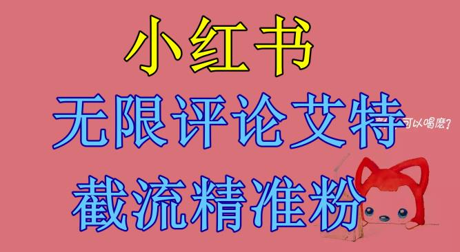 【副业项目6846期】小红书无限评论艾特截流精准粉（软件+教程）-网创财富岛