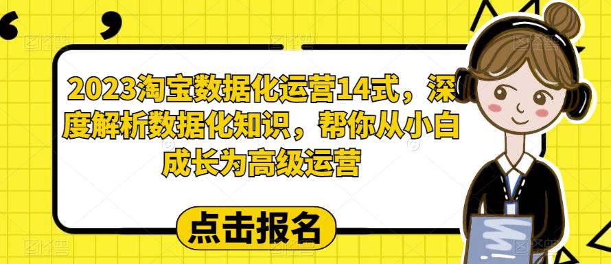 【副业项目6599期】2023淘宝数据化-运营 14式，深度解析数据化知识，帮你从小白成长为高级运营-网创财富岛