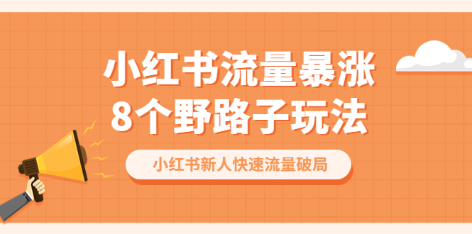 【副业项目6600期】小红书流量-暴涨8个野路子玩法：小红书新人快速流量破局（8节课）-网创财富岛