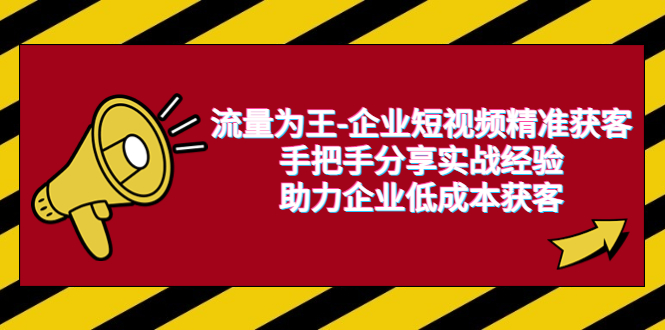【副业项目6601期】流量为王-企业 短视频精准获客，手把手分享实战经验，助力企业低成本获客-网创财富岛