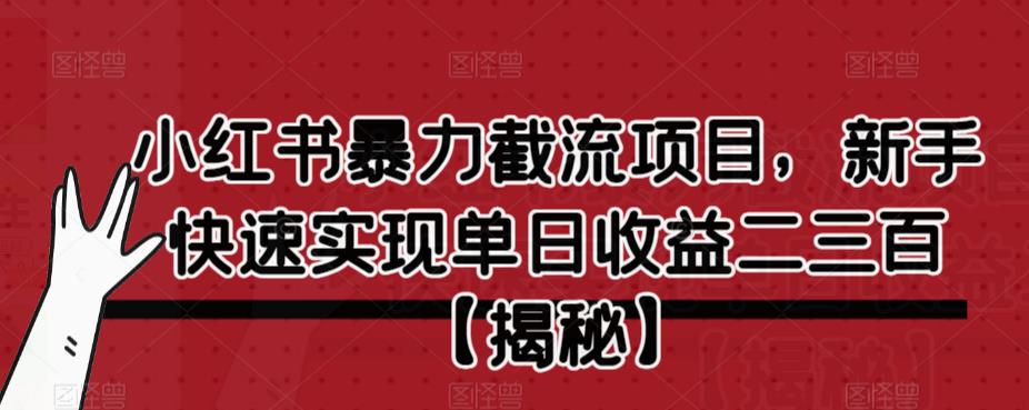【副业项目6889期】小红书暴力截流项目，新手快速实现单日收益二三百【仅揭秘】-网创财富岛