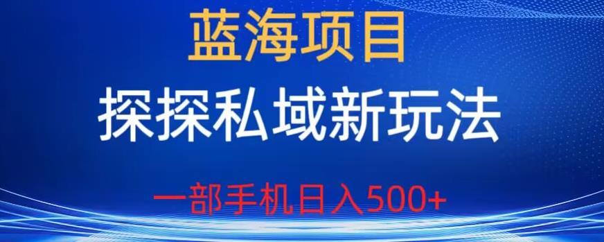 【副业项目6894期】蓝海项目，探探私域新玩法，一部手机日入500+很轻松【揭秘】-网创财富岛