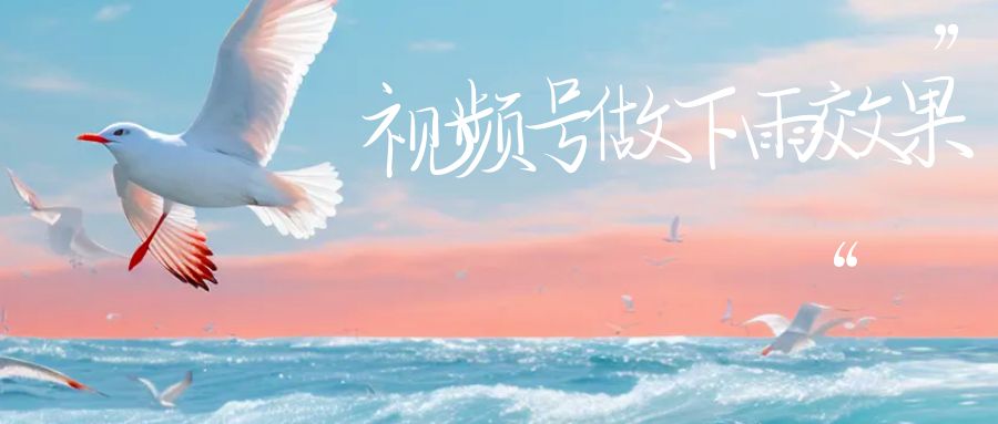 【副业项目6913期】视频号做下雨视频一个账号一周涨粉10W+年入100w-网创财富岛