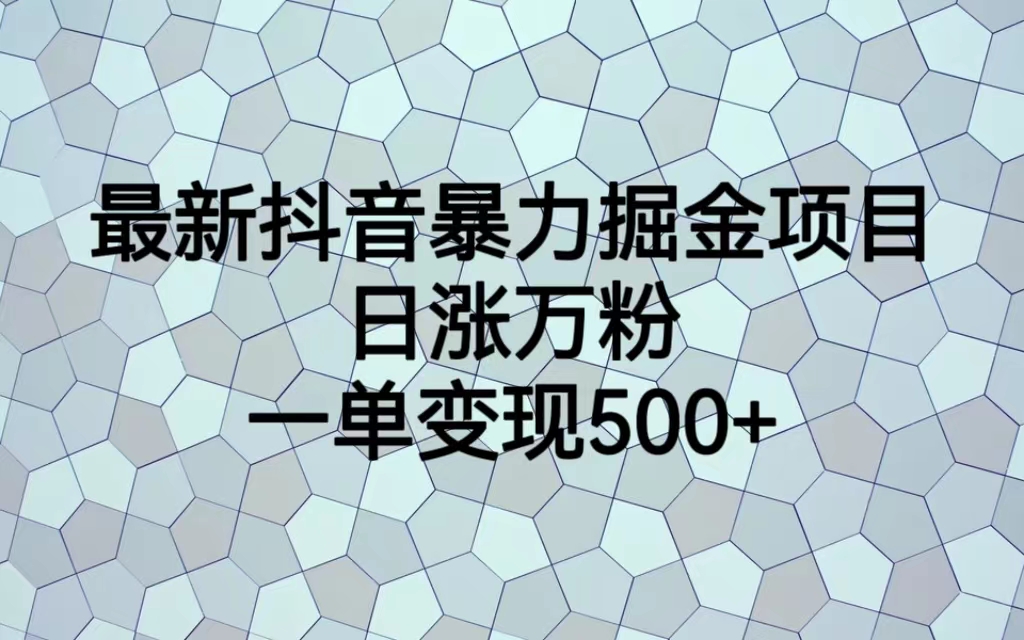 【副业项目6939期】最新抖音暴力掘金项目，日涨万粉，一单变现500+-网创财富岛