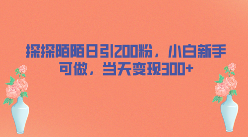 【副业项目7026期】探探陌陌日引200粉，小白新手可做，当天就能变现300+-网创财富岛