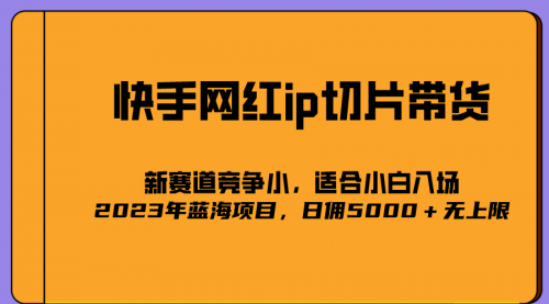 【副业项目7037期】2023爆火的快手网红IP切片，号称日佣5000＋的蓝海项目，二驴的独家授权-网创财富岛