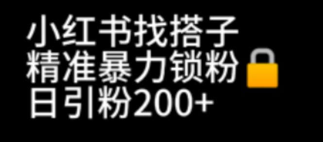 【副业项目7040期】小红书找搭子暴力精准锁粉+引流日引200+精准粉-网创财富岛