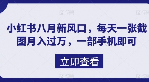 【副业项目7078期】八月新风口，小红书虚拟项目一天收入1000+-网创财富岛