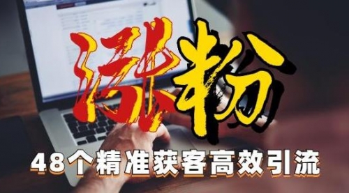 【副业项目7097期】独家分享48个引流绝技，再没粉丝只能怪自己了！-网创财富岛