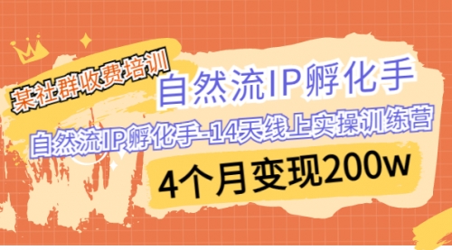 【副业项目7109期】自然流IP孵化手-14天线上实操训练营 4个月变现200w-网创财富岛