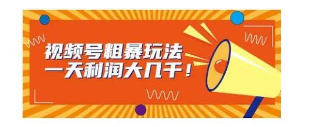 【副业项目7125期】视频号粗暴玩法，一天利润大几千！-网创财富岛