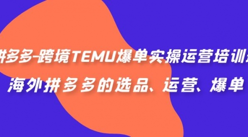【副业项目7128期】拼多多-跨境TEMU爆单实操运营培训班，海外拼多多的选品、运营、爆单-网创财富岛