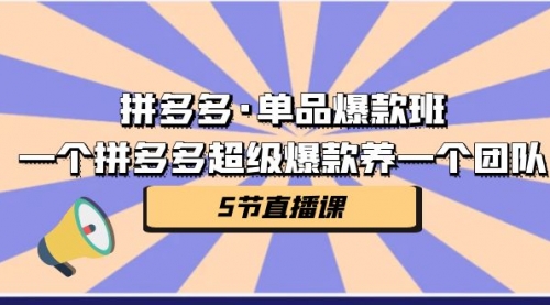 【副业项目第7171期】拼多多·单品爆款班，一个拼多多超级爆款养一个团队-网创财富岛