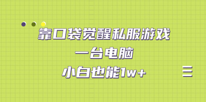 【副业项目7248期】靠口袋觉醒私服游戏，一台电脑，小白也能1w+（教程+工具+资料）-网创财富岛