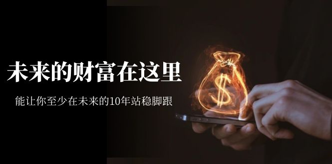 【副业项目7298期】某收费文章《未来的财富在这里》能让你至少在未来的10年站稳脚跟-网创财富岛