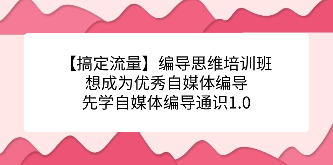 【副业项目7456期】编导思维培训班，想成为优秀自媒体编导先学自媒体编导通识1.0-网创财富岛