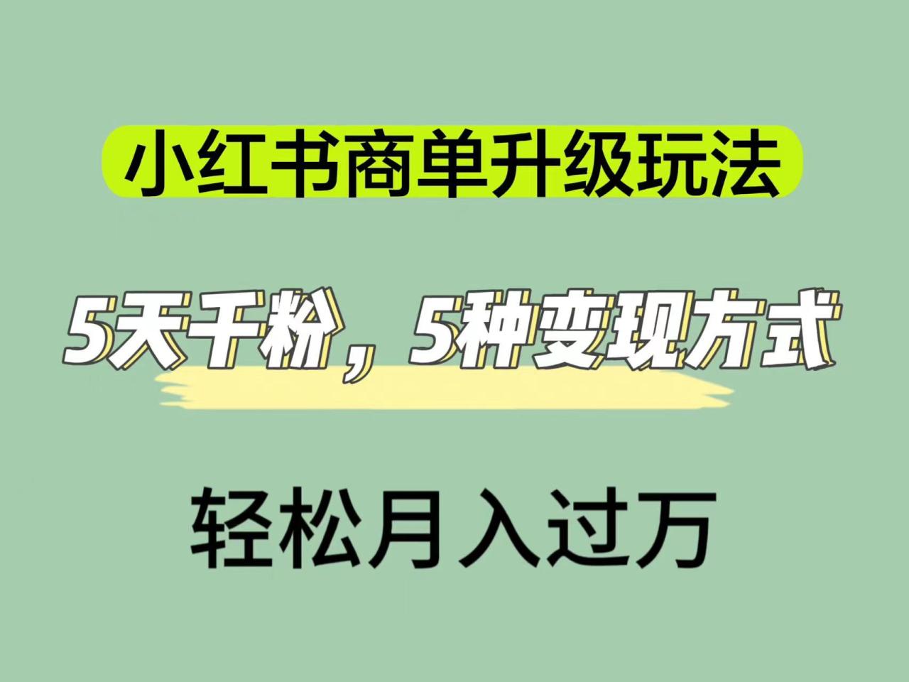 【副业项目7497期】小红书商单升级玩法，5天千粉，5种变现渠道，轻松月入1万+-网创财富岛