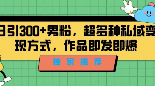 【副业项目7191期】独家推荐！日引300+男粉，超多种私域变现方式-网创财富岛
