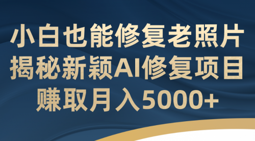 【副业项目7218期】小白也能修复老照片！揭秘新颖AI修复项目-网创财富岛