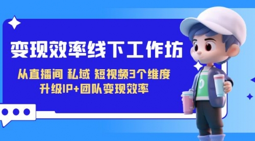 【副业项目7241期】变现-效率线下工作坊，从直播间、私域、短视频3个维度 升级IP+团队变现效率-网创财富岛