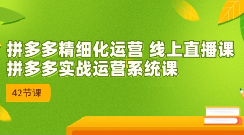 【副业项目7292期】2023年新课-拼多多精细化运营-网创财富岛