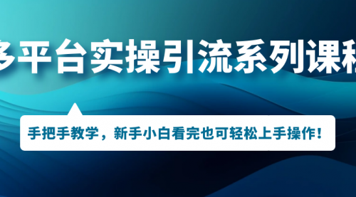 【副业项目7293期】多平台实操引流系列课程，手把手教学，新手小白看完也可轻松上手引流操作！-网创财富岛