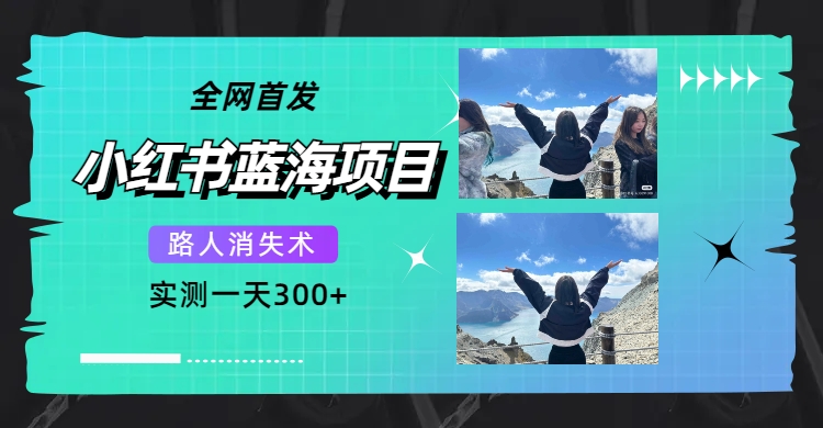 【副业项目7750期】全网首发，小红书蓝海项目，路人消失术，实测一天300+（教程+工具）-网创财富岛