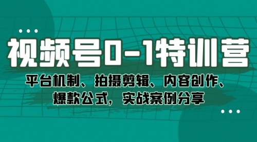 【副业项目7596期】视频号0-1特训营：平台机制、拍摄剪辑、内容创作、爆款公式，实战案例分享-网创财富岛