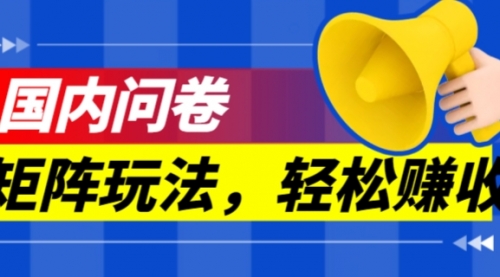 【副业项目7605期】保姆级教程，国内问卷矩阵玩法，轻松赚收益-网创财富岛