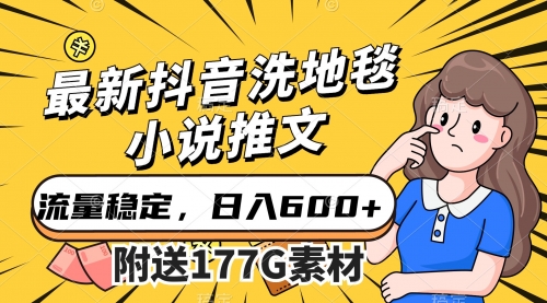【副业项目7638期】最新抖音洗地毯小说推文，流量稳定，一天收入600（附177G素材）-网创财富岛