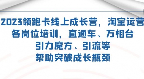 【副业项目7677期】2023领跑·卡 线上成长营 淘宝运营各岗位培训 直通车 万相台 引力魔方 引流-网创财富岛