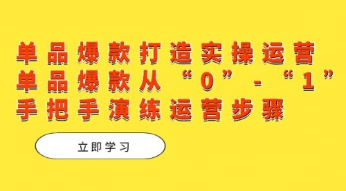 【副业项目7711期】单品爆款打造实操运营，单品爆款从“0”-“1”手把手演练运营步骤-网创财富岛