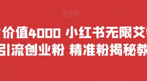 【副业项目7956期】价值4000 小红书无限艾特暴力引流创业粉 精准粉揭秘教程-网创财富岛