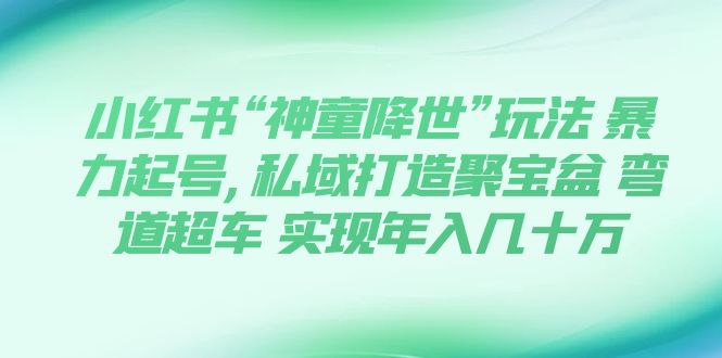 【副业项目7983期】小红书“神童降世”玩法 暴力起号,私域打造聚宝盆-网创财富岛
