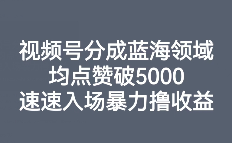 【副业项目8023期】视频号分成蓝海领域，均点赞破5000，速速入场暴力撸收益-网创财富岛